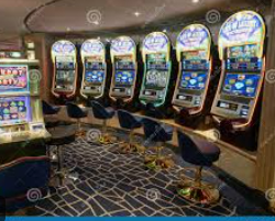 星空体彩app2024最新版