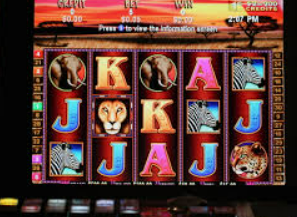 星空体彩app最新版