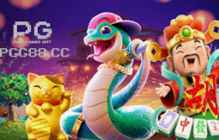 星空体彩app2024最新版