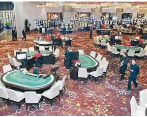 星空体彩app免费版