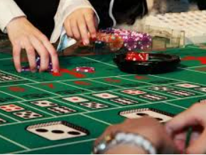 星空体彩app2024最新版