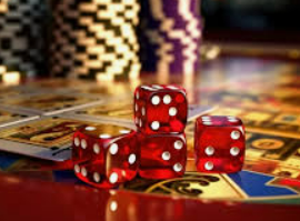 星空体彩app电脑免费版